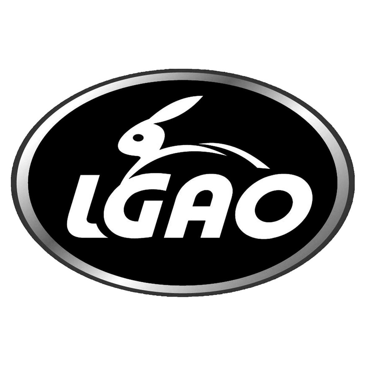 lgao是什么牌子图片