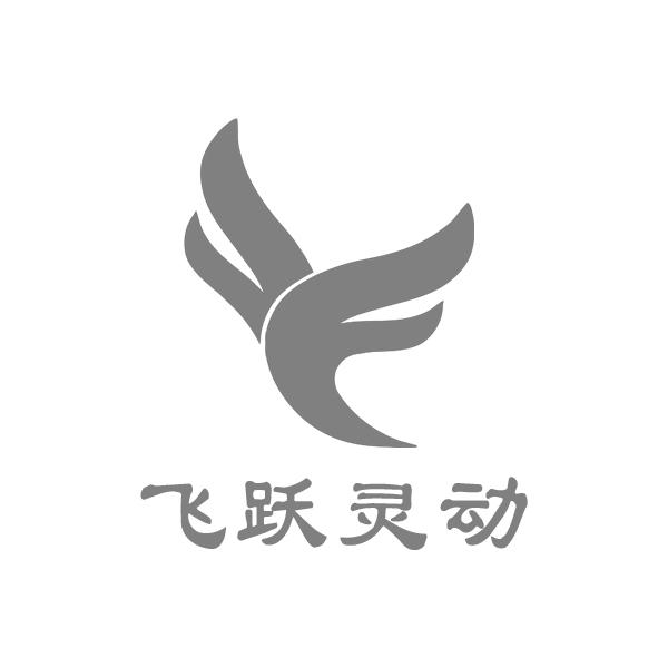 飞跃队logo图标图片