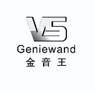 金音王 geniewand v 5