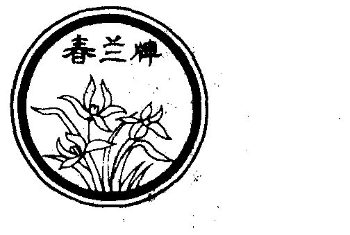 春兰                                      