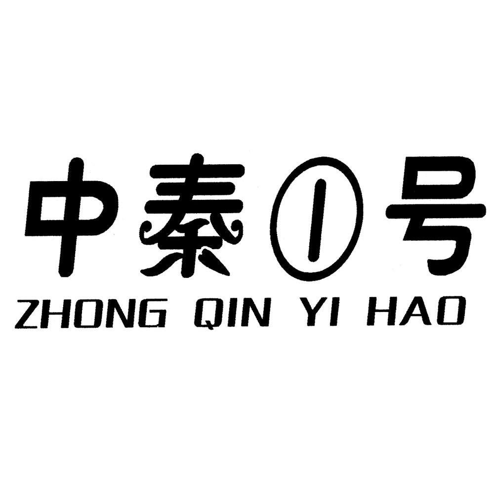 em>中秦/em em>1/em em>号/em zhong qin yi hao