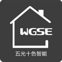 五光十色智能 wgse - 商标 - 爱企查