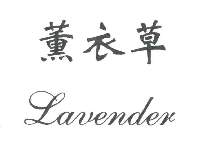 薰衣草;lavender                           