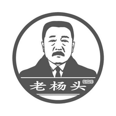 老杨头 杨巍林
