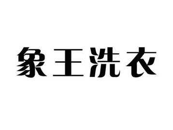 象王洗衣