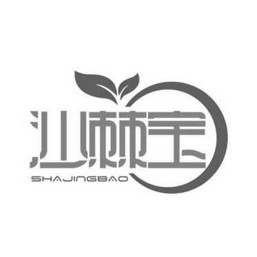  em>沙棘宝 /em> em>shajingbao /em>