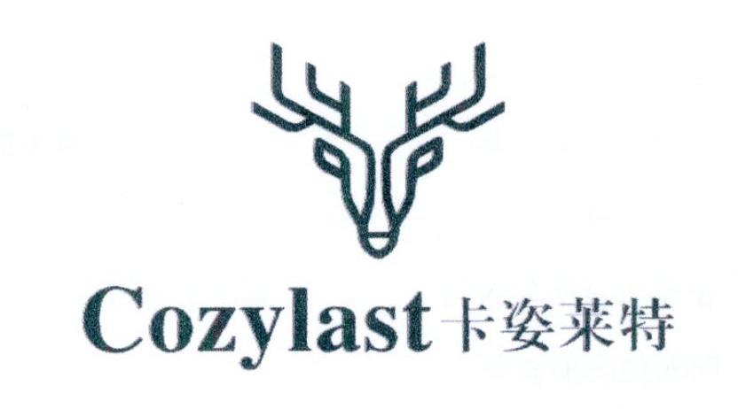 卡姿莱特logo图片图片