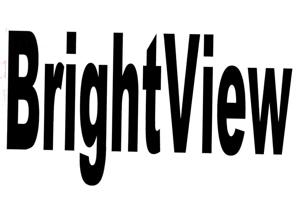  em>bright /em> em>view /em>