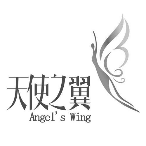 天使之翼 angels  em>wing /em>