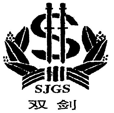 双剑 em>sj /em> em>gs /em>