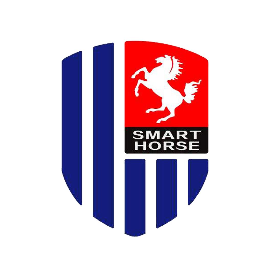 smart horse