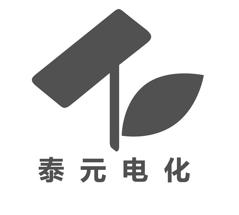  em>泰 /em> em>元 /em> em>电 /em> em>化 /em>