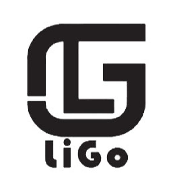 ligo lg