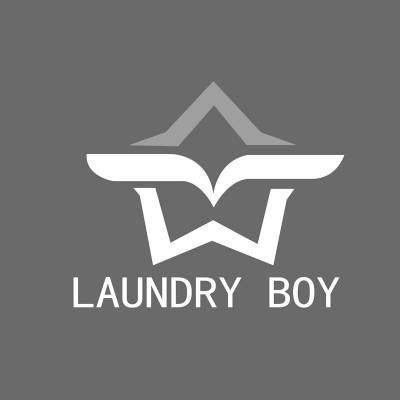 laundry boy