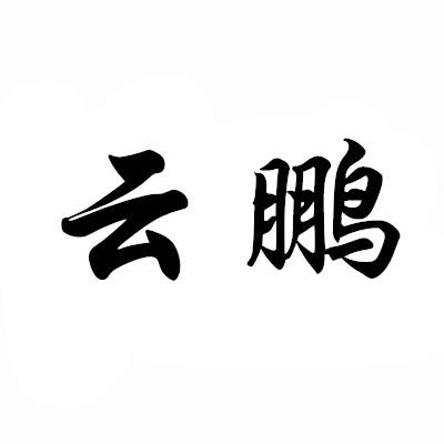 云鹏                                      