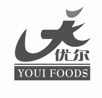 em>优尔/em youi foods