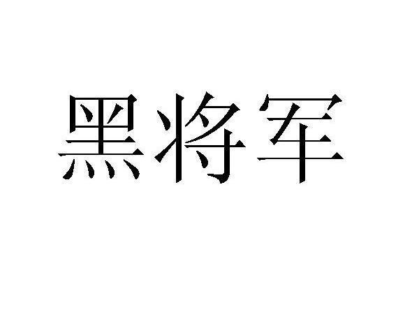  em>黑将军 /em>
