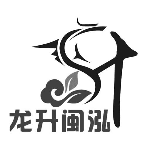 升 龙升 em>闽泓 /em>