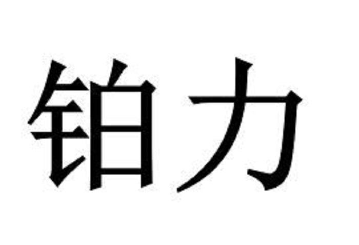 铂力等待实质审查申请/注册号:42644456申请日期:2019