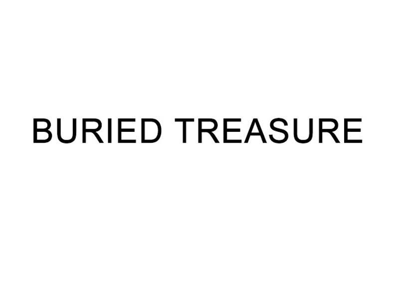BURIED TREASURE - 商标 - 爱企查