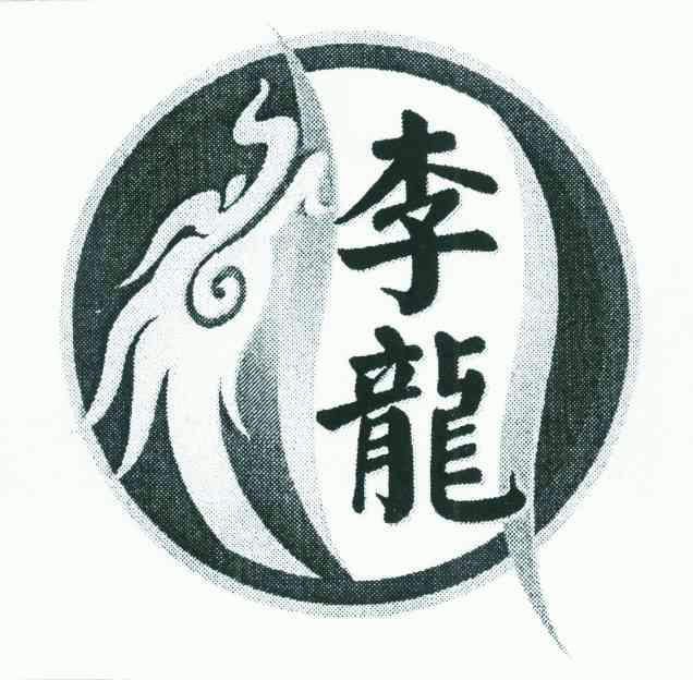 李龙                                      