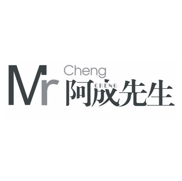 阿成 em>先生 /em> mr cheng cheng