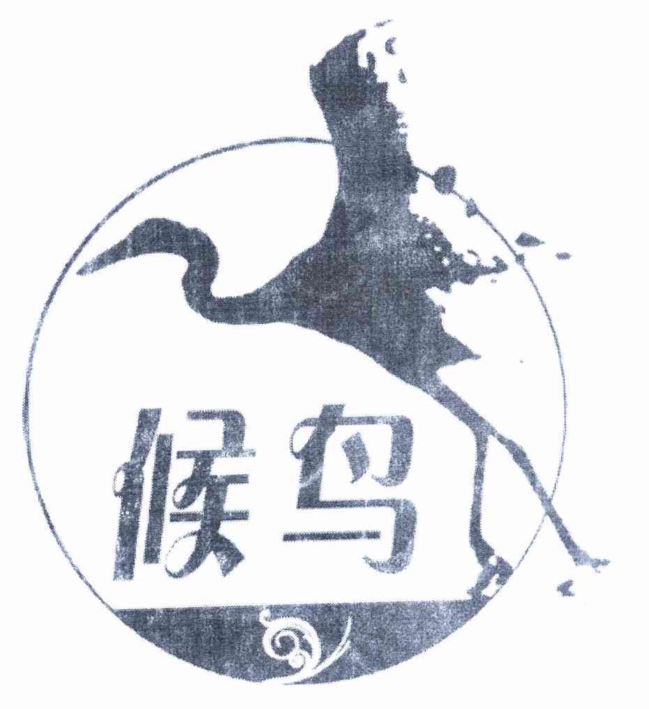 候鸟商标已注册