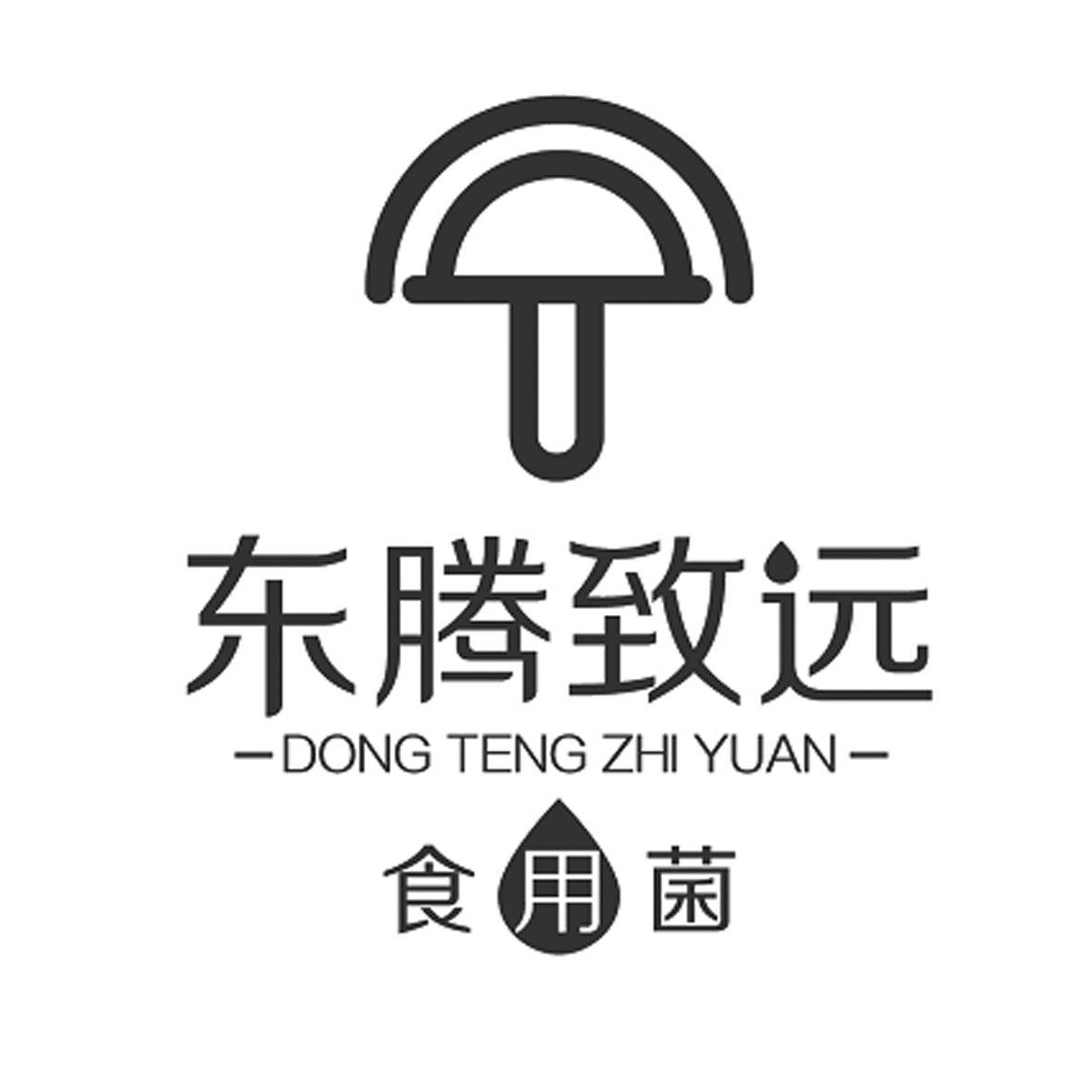 东腾致远 食用菌                           