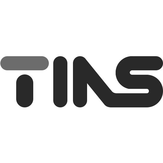 tins等待实质审查