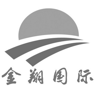 金翔 em>国际 /em>