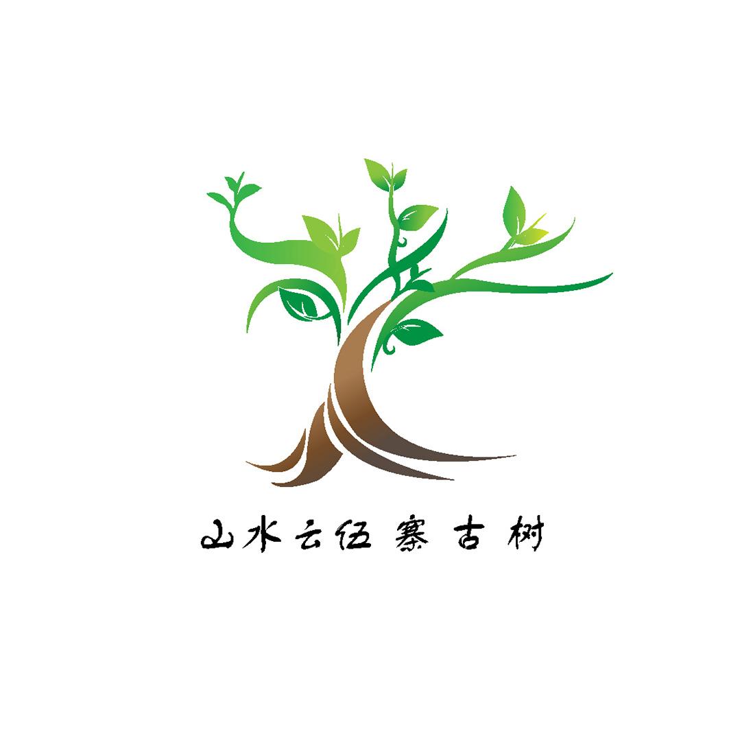 山水云伍寨古树