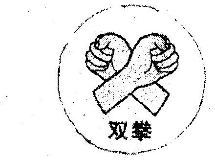 双拳