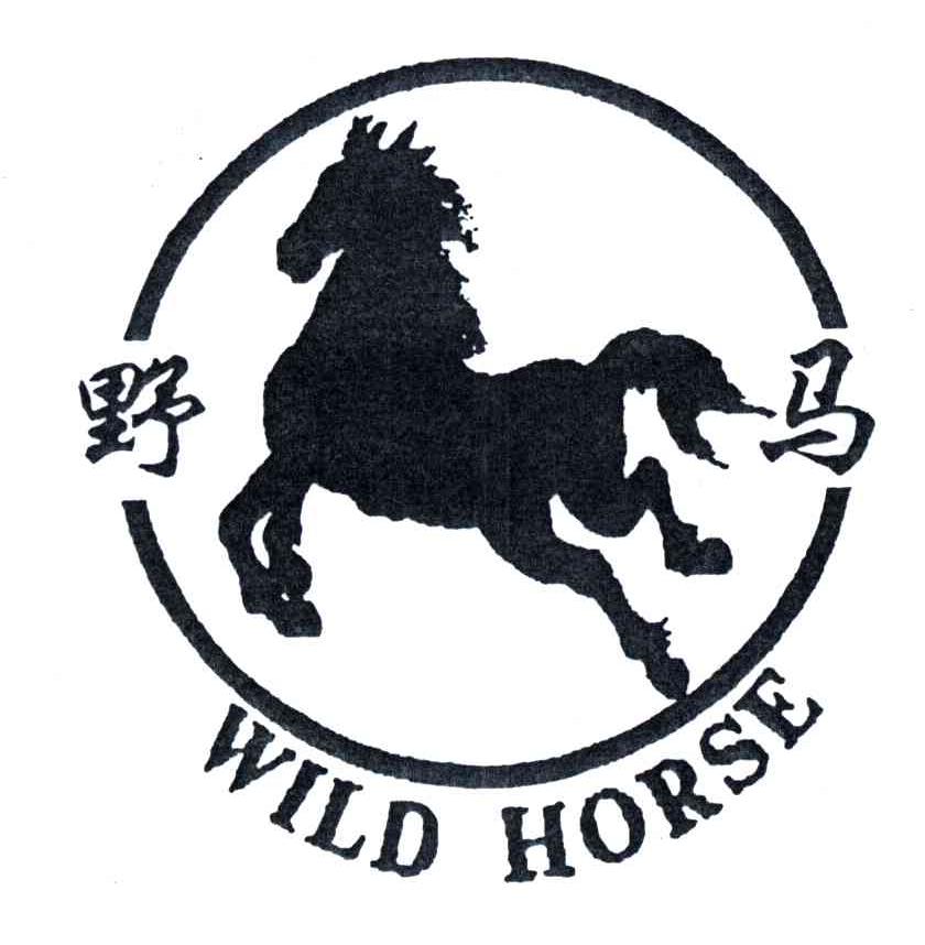  em>野马 /em>;wild horse