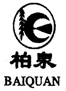 柏泉logo图片