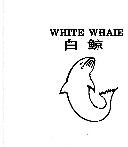  em>白鯨 /em> em>white /em> em>whaie /em>