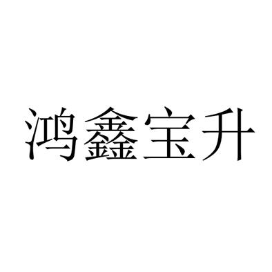 em>鸿鑫宝/em>升