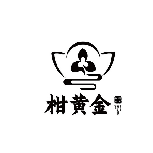  em>柑 /em> em>黄金 /em>陈皮新会