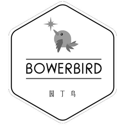 园丁鸟  em>bower /em> em>bird /em>