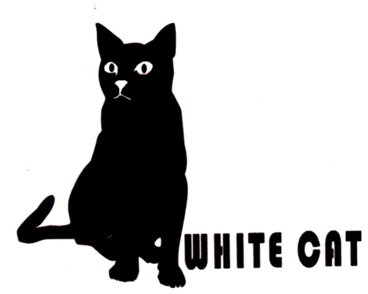 em>white /em>  em>cat /em>