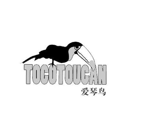 爱琴鸟  em>tocotoucan /em>