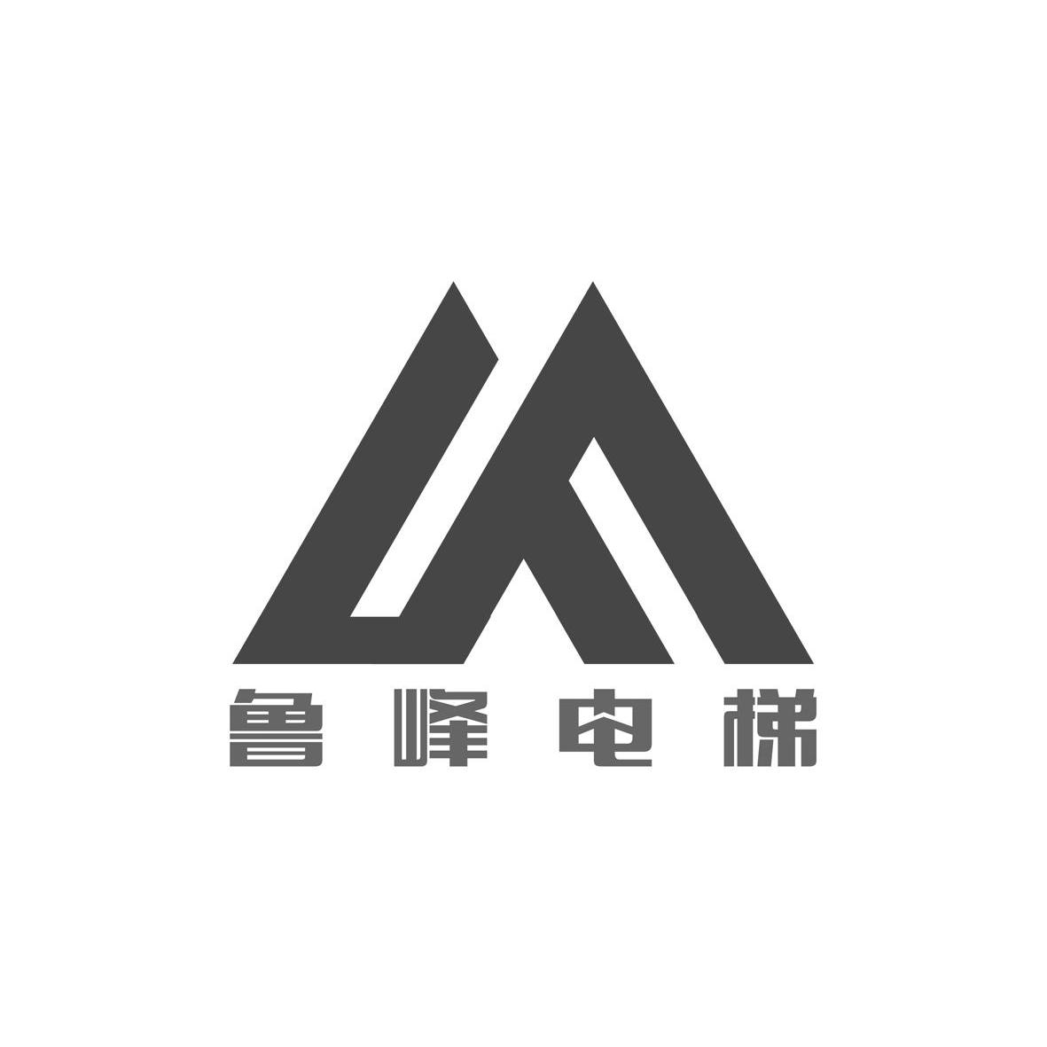  em>鲁峰 /em>电梯  em>lf /em>