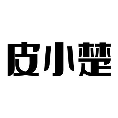 皮小聪 企业商标大全 商标信息查询 爱企查