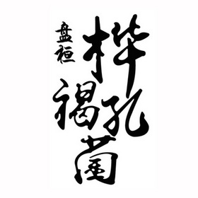 桦褐孔菌 em>盘桓/em>