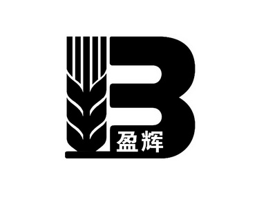 盈辉- 商标 - 爱企查