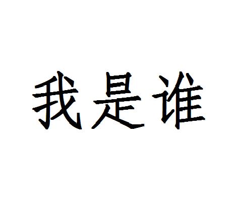 我是谁 - 商标 - 爱企查
