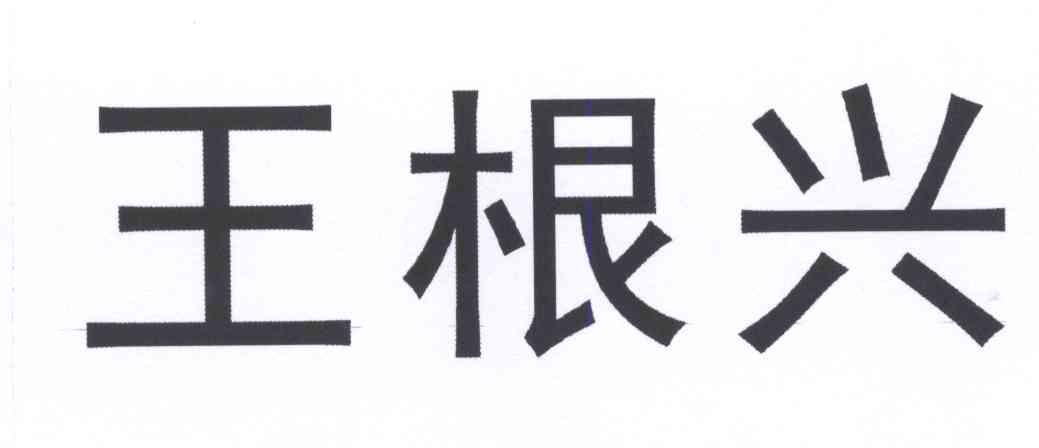  em>王根兴 /em>