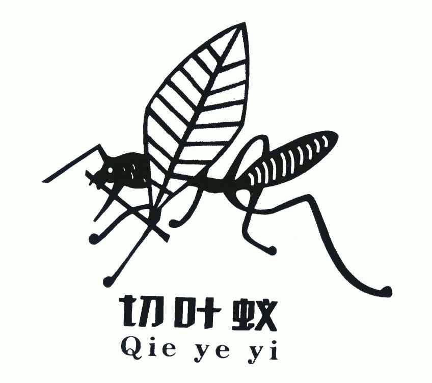  em>切 /em> em>叶蚁 /em>