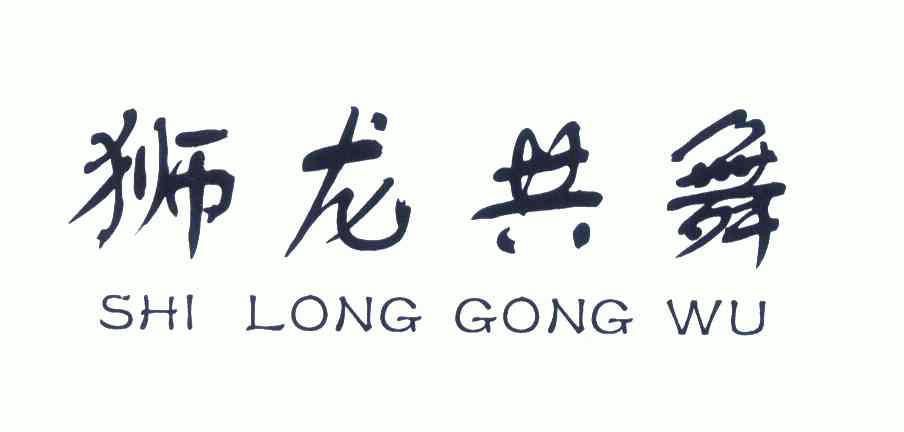 em>狮龙共舞 /em>