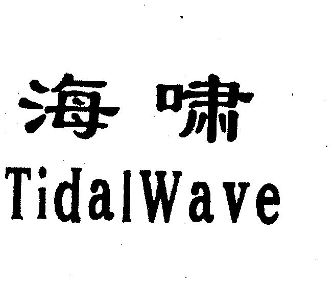 海啸 em>tidal /em> em>wave /em>