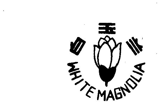  em>白玉兰 /em> white  em>magnolia /em>